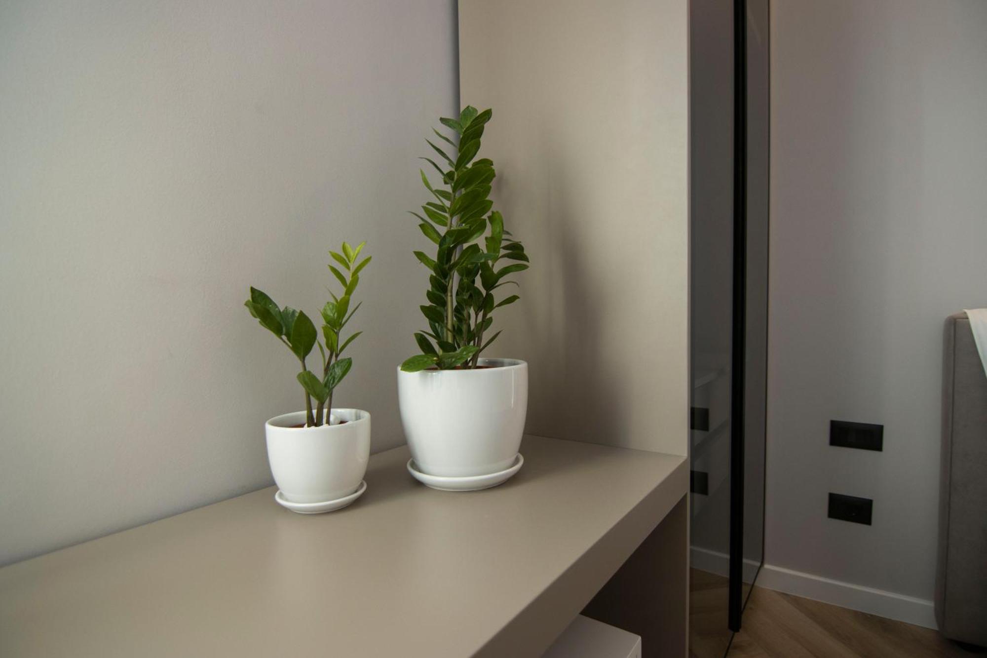 Mina Luxury Rooms Tirana Esterno foto